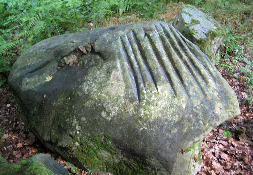 Загадки желобов на камнях острова Готланд
